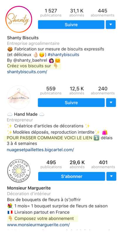 biographie instagram lien call to action